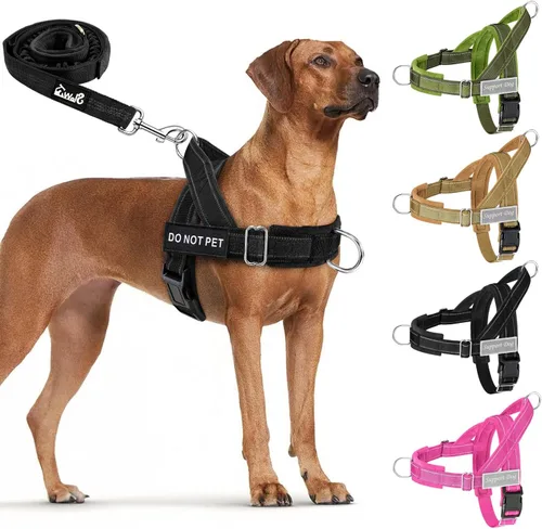 Miniatura 15 de Juego de arnés y correa para perro Lukove sin tirones - Arnés de chaleco para perros resistente con acolchado suave para perros medianos y grandes