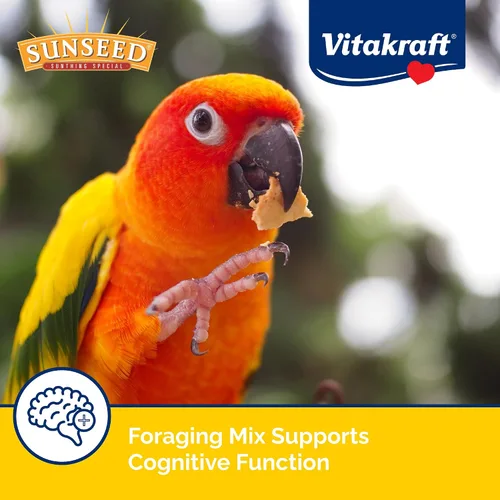 Miniatura 4 de Sunseed Vita Prima Conure Food - Mezcla rica en nutrientes con frutas, verduras y semillas que apoya plumas, ojos y energía activa saludables