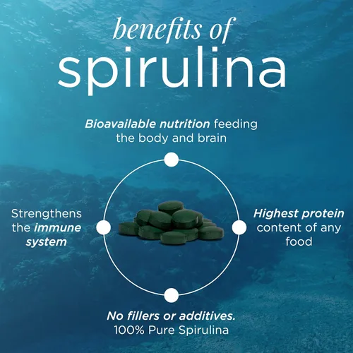 Miniatura 6 de ENERGYBITS - Tabletas orgánicas de espirulina - Superalimento de algas a base de plantas - para concentración, fitness, energía - Proteína vegetal