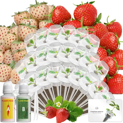 Miniatura 16 de Kit de cápsulas de semillas de hierbas gourmet compatible con AeroGarden, idoo, Ahopegarden, Gardencube con albahaca, perejil, tomillo, menta