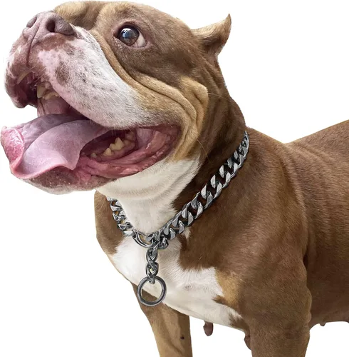 Miniatura 12 de Cierres de langosta fuertes ajustables para perros, collar de titanio, para entrenamiento, caminar, de metal, a prueba de masticación, para perros