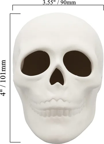 Miniatura 4 de Creative Hobbies Bisque de cerámica listo para pintar, calavera de 5 pulgadas de largo x 4 pulgadas de alto, incluye cómo pintar tu propio folleto