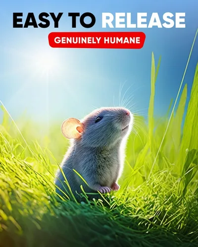Miniatura 7 de Trampa humana para ratones para interiores y exteriores, paquete de 2 unidades, atrapa ratones y ratones, trampa pequeña para el hogar, trampa