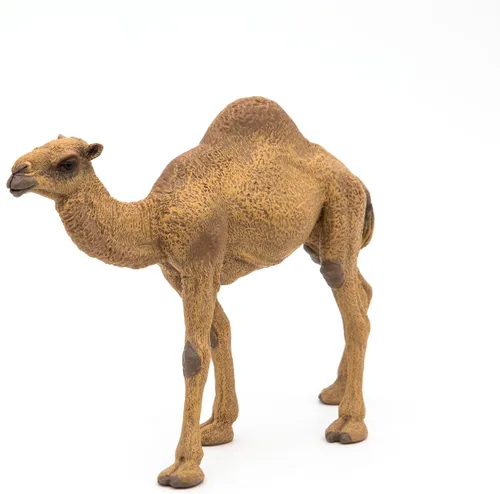 Miniatura 6 de Papo - Figura de dromedario realista - A partir de 3 años - Colección Wild Life - Juego educativo de animales del desierto - Juguete de idea