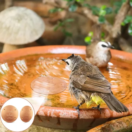 Miniatura 5 de MorningRo Disco de cobre para baño de pájaros de 4 pulgadas, 1 unidad de disco de purificación de baño de pájaros reforzado de 0.031 in de grosor