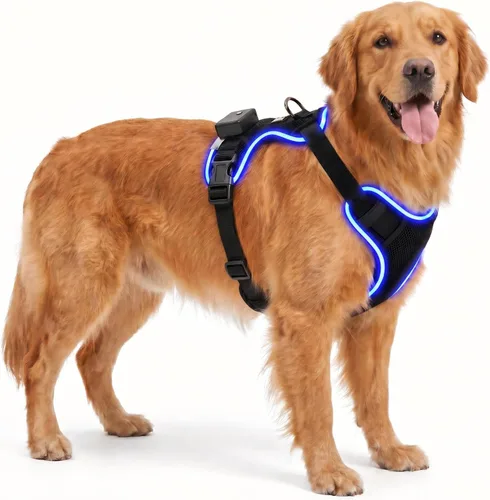 Light Up Dog Harness, No-Pull Led Dog Harness Rechargeable, Glow in the Dark, LED Dog Vest Reflective, Adjustable & Comfort Padded Lighted Dog