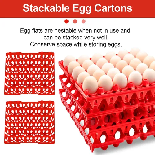 Miniatura 3 de 8 cajas de plástico para huevos para 30 huevos, cajas apilables para huevos con capacidad para múltiples huevos para granjeros de pollos domésticos