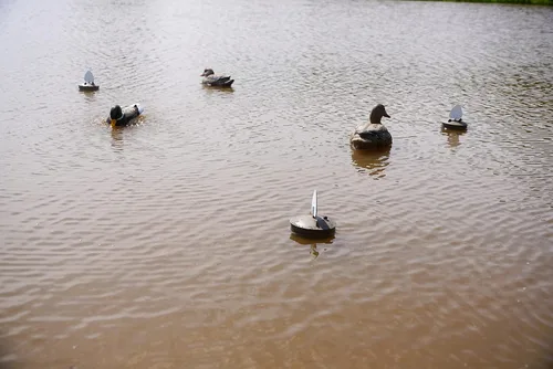Miniatura 4 de MOJO Outdoors - Premium Waterfowl and Duck Hunting Decoys
