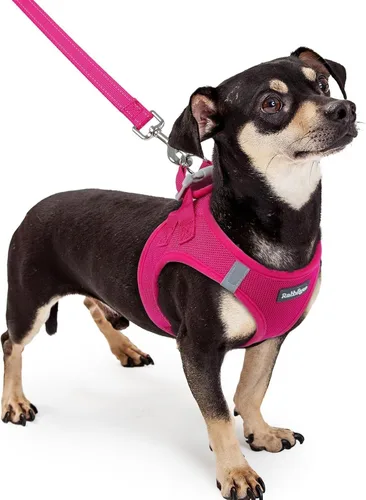 Miniatura 139 de rabbitgoo Juego de arnés para perro de tamaño pequeño y correa, chaleco ligero suave para cachorro, arnés de malla transpirable para mascotas