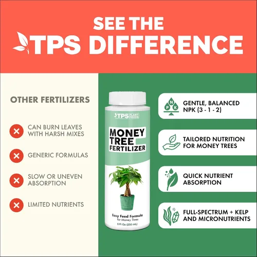 Miniatura 4 de Fertilizante para árbol del dinero para árboles del dinero y todas las plantas de Pachira, alimento líquido para plantas 8 oz (250mL)