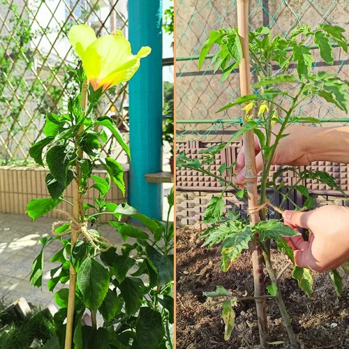 Miniatura 5 de Vivifying Cordel de yute, 328 pies y 0.118 in fuerte cuerda de jardín natural para plantas trepadoras, tomates, manualidades, envoltura de regalos