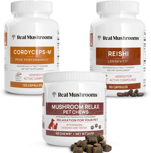 Real Mushrooms Reishi & Cordyceps para humanos y hongos masticables relajantes para mascotas, paquete para relajación, energía e inmunidad, vegano,