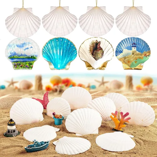 Miniatura 3 de 12 conchas de vieira naturales grandes de 4 a 5 pulgadas, conchas marinas blancas para manualidades, pintura a mano, fiestas temáticas oceánicas