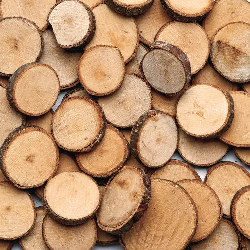 Colorations Rondas de madera natural, 50 piezas con corteza, de 1 3/4 a 2 3/8 pulgadas recicladas, ramas, lisas, artes y manualidades, naturaleza