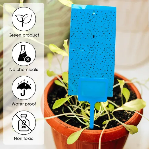 Miniatura 3 de 220 trampas adhesivas de doble cara para insectos voladores de plantas voladoras para interiores y exteriores, como mosquitos de hongos, moscas Azul