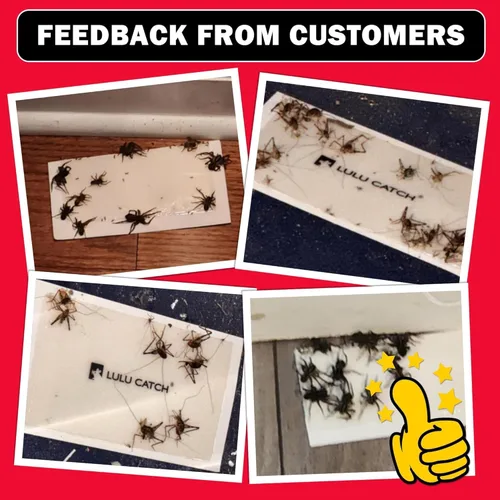 Miniatura 5 de LULUCATCH Trampas de Pegamento, Paquete de 12 Trampas para Ratones de Interior para el Hogar, Cazador de Insectos Adhesivo a Granel Pre-cebado No