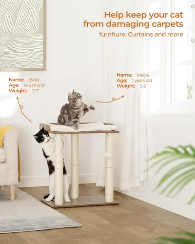 Miniatura 2 de FourFurPets Condo de torre de árbol para gatos de 22 pulgadas, postes rascadores para gatos de interior, placa grande, tres postes rascadores
