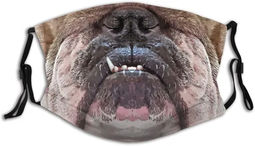 goincrond Divertida máscara facial de animales lavable de tela transpirable reutilizable con filtros para adultos mujeres hombres y jóvenes