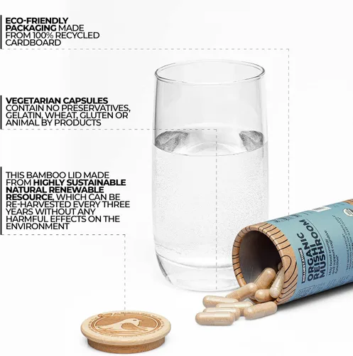 Miniatura 2 de Cápsulas de suplemento de hongos orgánicos Reishi Extracto de ganoderma, suplemento de apoyo inmunológico Aumenta la energía, combate la fatiga