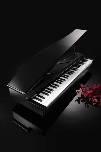Miniatura 4 de Korg microPiano 61 - Key Minature Grand Piano, Negro
