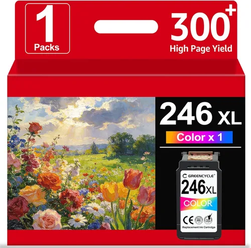 Cartucho de tinta de color 246XL compatible con Canon CL-246XL CL-246 CL-244 Pixma MX490 MG2522 MG2525 MG2920 MG2922 MG2924 MG3020 MG3022 MG3029