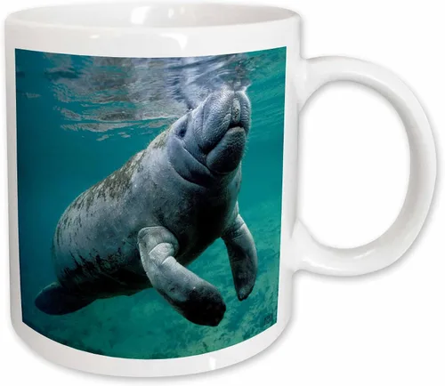 Miniatura 8 de 3dRose, Taza negra bicolor de 11 oz, negro/blanco