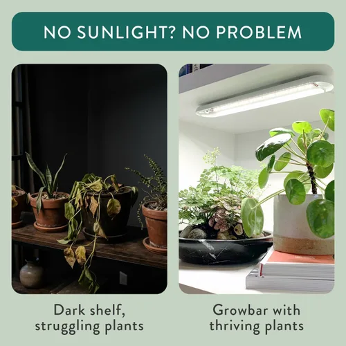 Miniatura 6 de Modern Sprout Smart Growbar V2 - Luz LED de cultivo para plantas de interior, espectro completo debajo del gabinete, luz de crecimiento