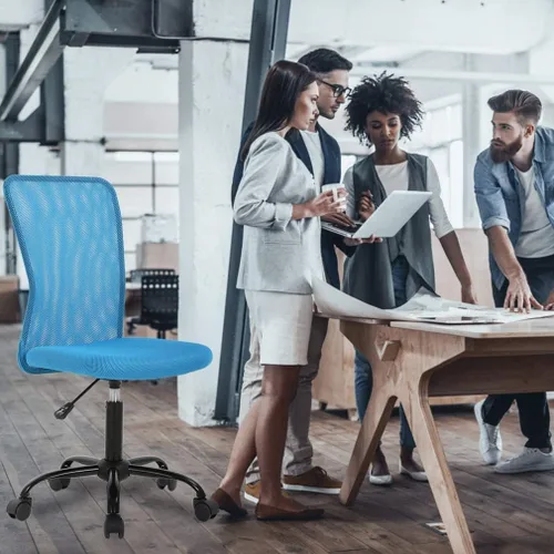 Miniatura 7 de HGS Silla de trabajo ergonómica sin brazos, silla de escritorio para computadora de oficina, silla de oficina en casa con soporte lumbar, silla