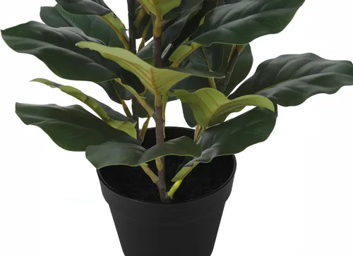 Miniatura 3 de Monarch Specialties I 9511 Planta artificial, 32 pulgadas de alto, árbol violín, interior, falso, falso, suelo, vegetación, maceta, tacto real