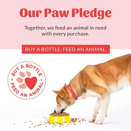 Miniatura 9 de Skout's Honor Spray probiótico para patas para perros, certificado para microbiomas, sin alcohol, sin fragancia y sin medicamentos, apoya la piel
