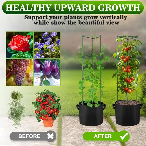 Miniatura 4 de NNG Paquete de 2 jaulas de tomate de 48 pulgadas con bolsas de cultivo de 10 galones, jaulas de soporte para plantas de jardín, estacas de torre