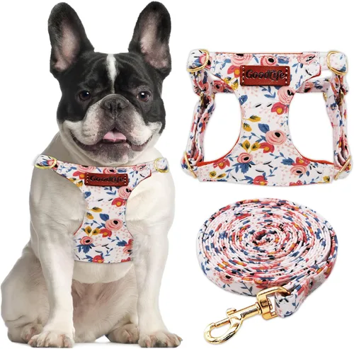 Miniatura 10 de OaaXbbECco Arnés suave y ajustable para cachorro, arnés suave y ajustable para perro y correa para perro, sin estrangulamiento, a prueba de escape
