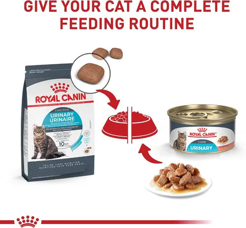 Miniatura 5 de Royal Canin Feline Care Nutrition Urinary Care - Alimento para gatos en salsa, 3 onzas (paquete de 6)