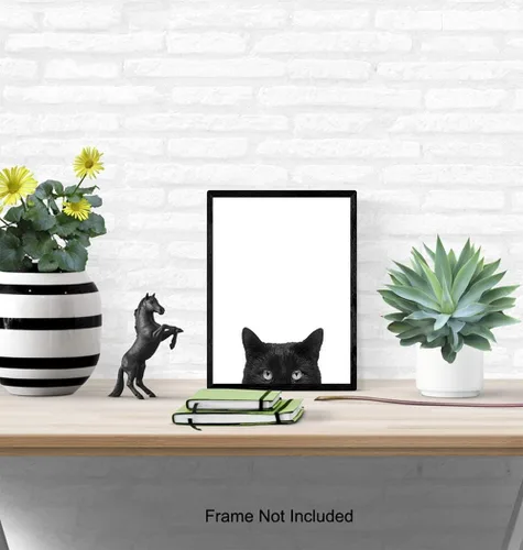 Miniatura 4 de Foto artística de pared de gato negro, impresión única de 8 x 10 pulgadas, moderna, contemporánea, 8 x 10 pulgadas, regalo para animales, mascotas