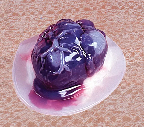 Miniatura 2 de Fun World. Molde para hacer gelatinas en forma de corazón, para decoración de Halloween. Haz tus propios corazones de gelatina y aterroriza a