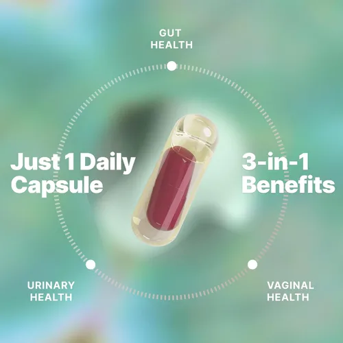 Miniatura 3 de Evvy Probiótico Completo 3 en 1 para Mujeres Suplemento Probiótico Diario para Reducir la Hinchazón Apoya la Salud Intestinal, Urinaria