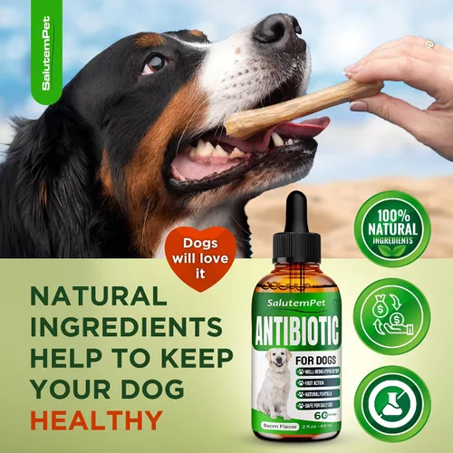 Miniatura 7 de Antibióticos naturales para perros y cachorros Antibióticos para perros de todas las edades Ingredientes a base de hierbas Ayuda con alergias