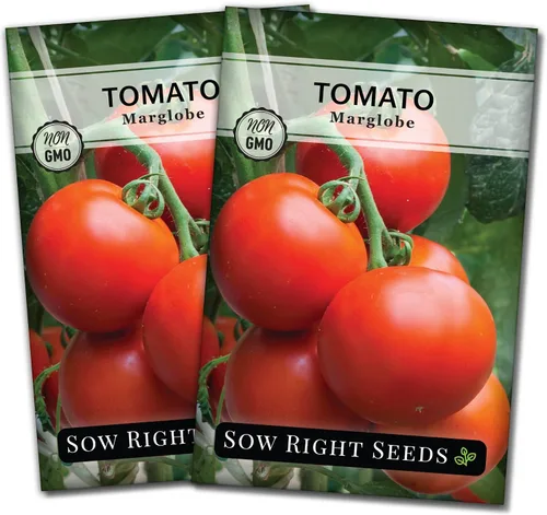 Miniatura 7 de Sow Right Seeds - Semillas de tomate Marglobe para plantar - Paquete de reliquia sin OMG con instrucciones para plantar y cultivar un huerto casero