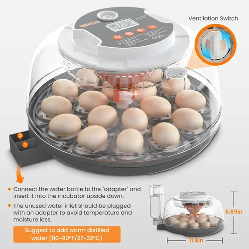 Miniatura 6 de Incubadora automática de huevos de 18 huevos para incubar huevos, incubadora de huevos de gallina con giro automático de huevos, control de humedad