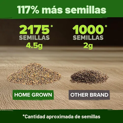Miniatura 3 de HOME GROWN Mezcla de semillas de roqueta de rúcula a granel Más de 2,175 semillas de flores tradicionales sin OMG para plantar en exteriores e