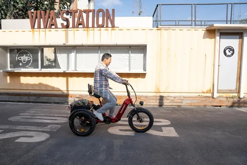 Miniatura 8 de PUCKIPUPPY Triciclo eléctrico de doble batería con rango alto de 110 millas, triciclo de clase de recogida de motor pico de 960 W, capacidad