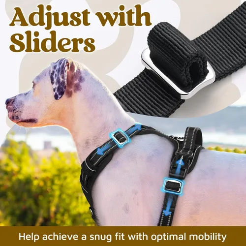 Miniatura 5 de rabbitgoo Arnés para perro de tamaño pequeño, chaleco para perro sin tirones con 3 hebillas, arnés ajustable y acolchado suave para mascotas con asa