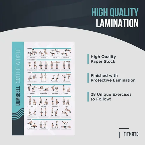Miniatura 5 de FitMate - Póster de ejercicio con mancuernas, rutina de entrenamiento con pesas libres, decoración de gimnasio en casa, guía de habitación
