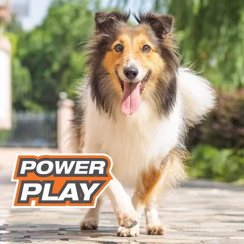 Miniatura 10 de Nylabone Power Play Gripz - Juguete de fieltro de goma para baloncesto, pelota chirriante para perros, tamaño mediano (1 unidad)