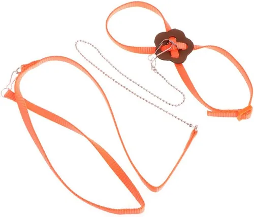 Miniatura 7 de Adjustable Bird Harness 3.94 Ft Long Leash Kit Outdoor Flying Training Rope for Small Birds Parrots Anti Toys African Grey for Small Parrots for