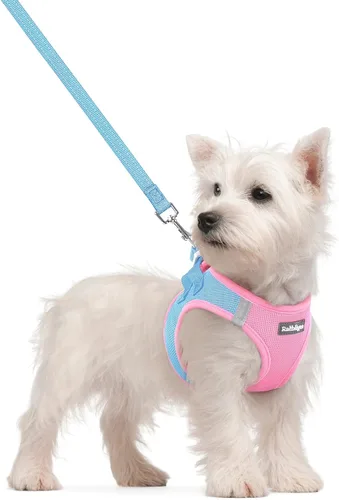 Miniatura 136 de rabbitgoo Juego de arnés para perro de tamaño pequeño y correa, chaleco ligero suave para cachorro, arnés de malla transpirable para mascotas