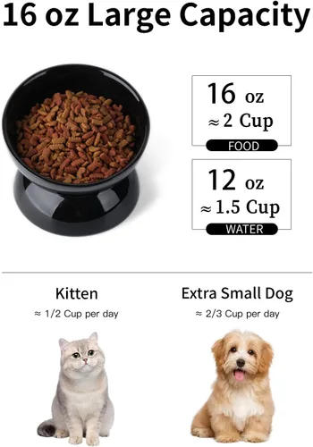 Miniatura 2 de ABRUTY Cuenco de agua para gatos, cuencos elevados de cerámica de 16 onzas, plato de comida para mascotas inclinado y elevado en 15°, antivómito