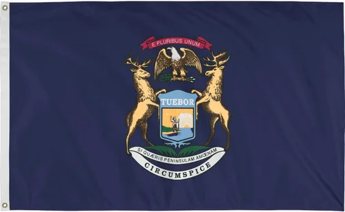 Valley Forge, Bandera del estado de Michigan, nailon, 3 x 5 pies, 100% fabricada en Estados Unidos, cabecera de lona, ojales de latón resistentes