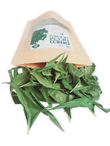 Miniatura 4 de Hojas de neem enteras cultivadas de forma natural, hojas de primera calidad, puras y secas frescas, 3 onzas / 3.00 oz de té de neem