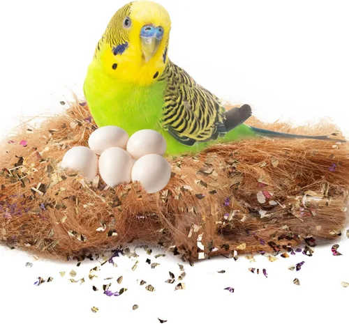 Miniatura 9 de SunGrow Fibra de coco de pinzón, sustrato de cama suelto para jaulas de nido de pájaros, material de anidación para periquito canario de colibrí
